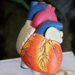 Tips for Healthy Heart